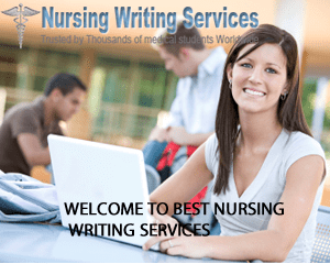Best Nursing Writing Services