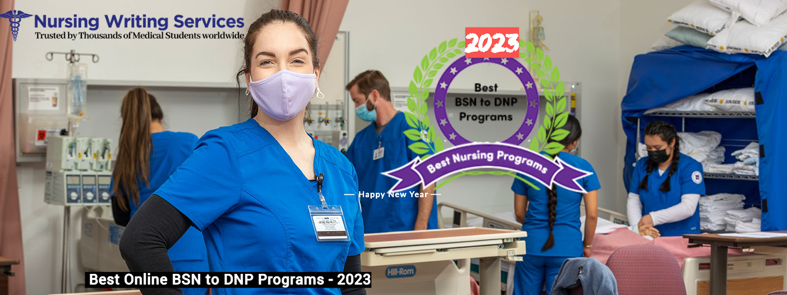 Best Online BSN to DNP Programs - 2023