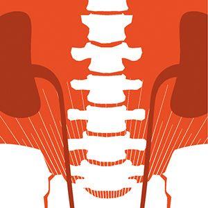 Bone and Mineral Disorder