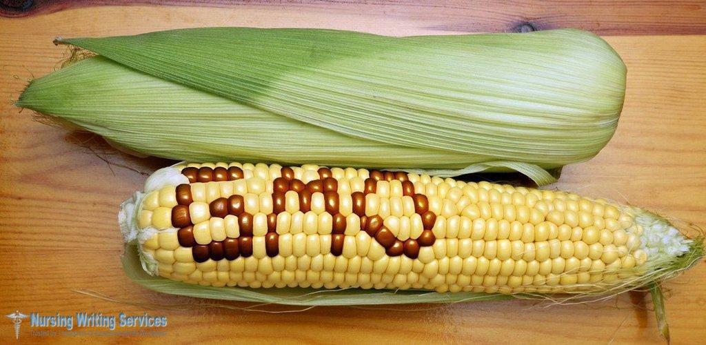 Why Food Should Be Labeled for Genetically Modified Organisms (GMOs)