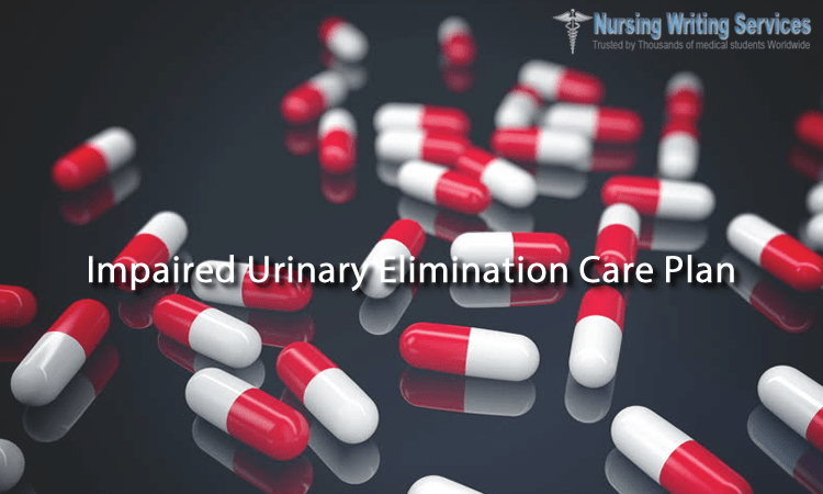 Impaired Urinary Elimination Care Plan Writing Help