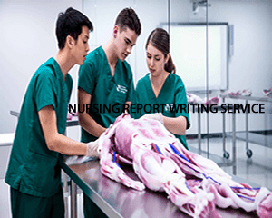  NURSING REPORT WRITING SERVICE