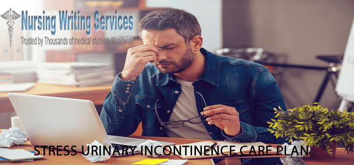 stress urinary incontinence care plan writing services.