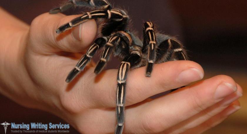 Can  venom  from  spiders  and  other  animals  really  be  used  in  medical  treatment  safely