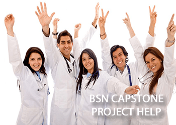 BSN Capstone Project Help