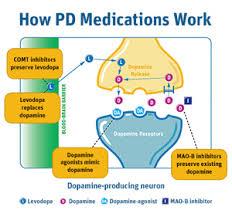 Parkinson's Disease