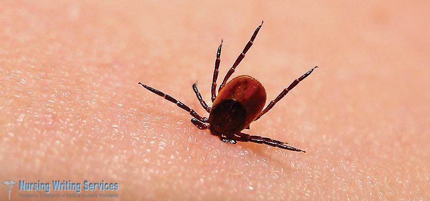 Tick-derived  diseases  including  Babesiosis  and  Ehrlichiosis