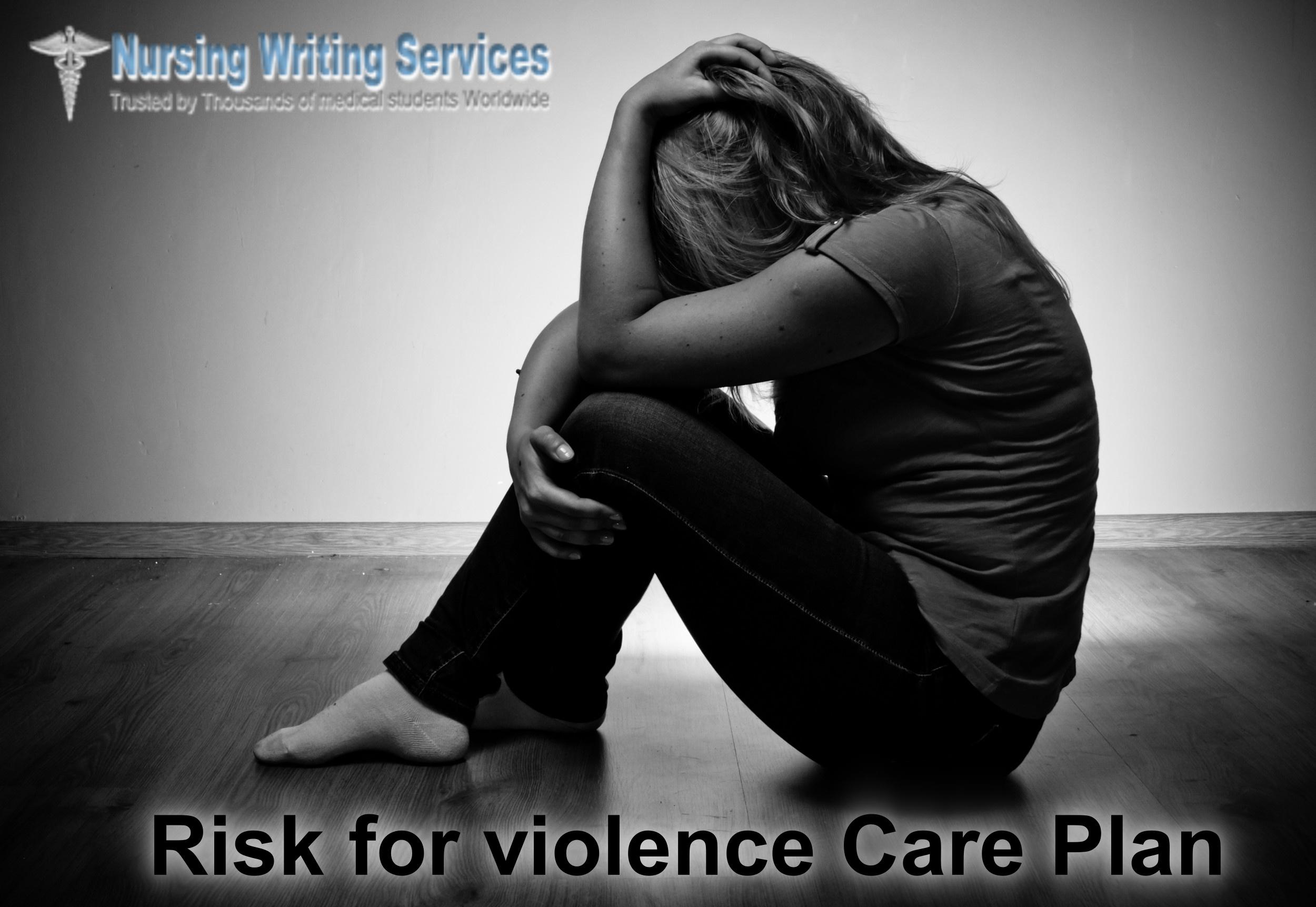 Risk for violence Care Plan Writing Services