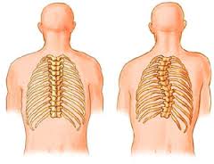 Spinal Disorders